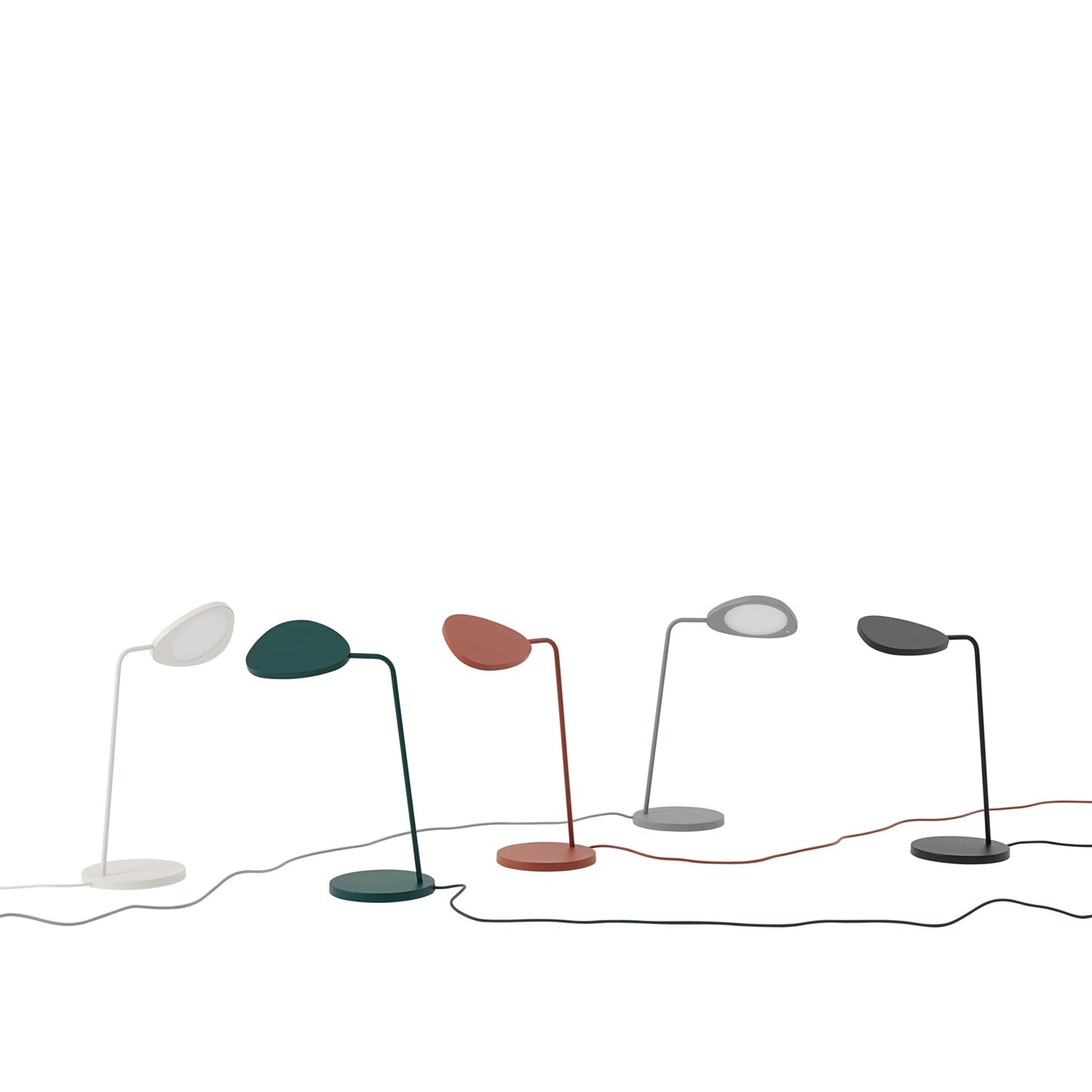 Leaf LED Table Lamp in Detail.