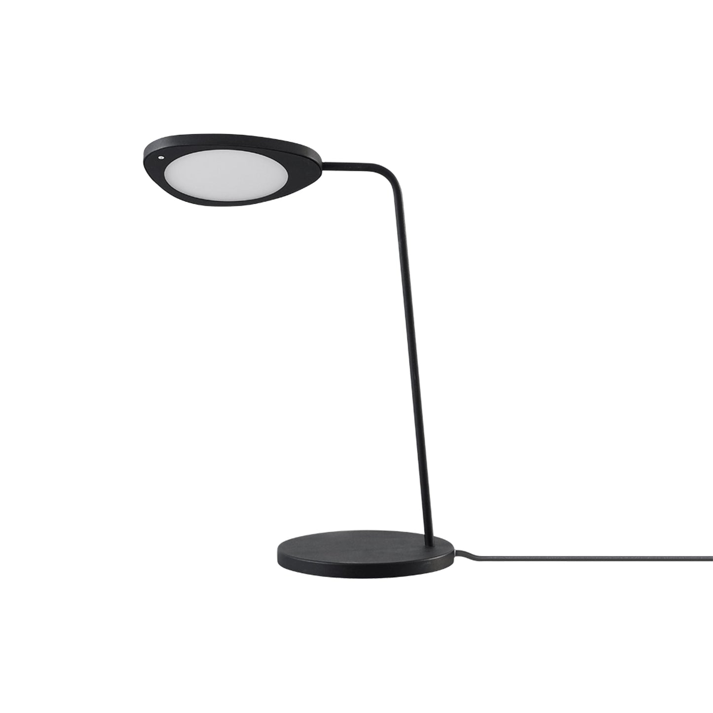 Leaf LED Table Lamp in Detail.