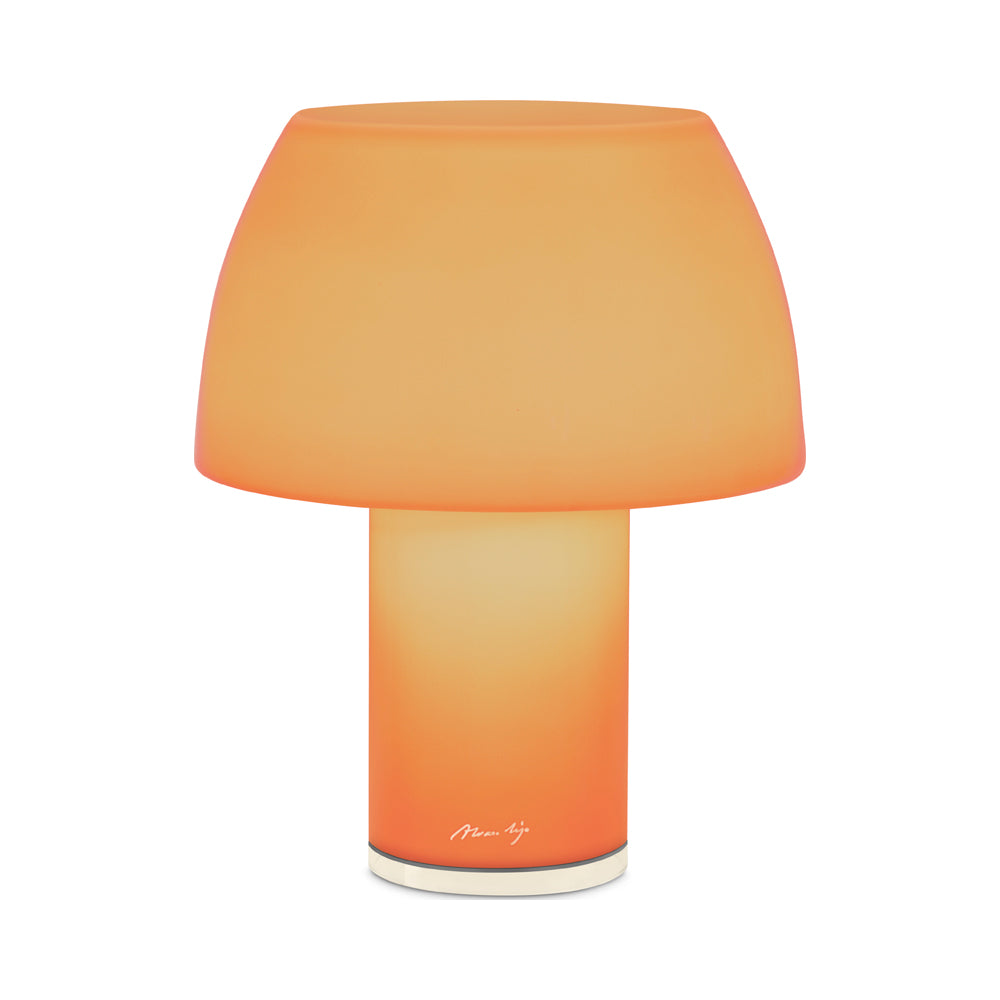 Lorosae LED Rechargeable Table Lamp in Detail.