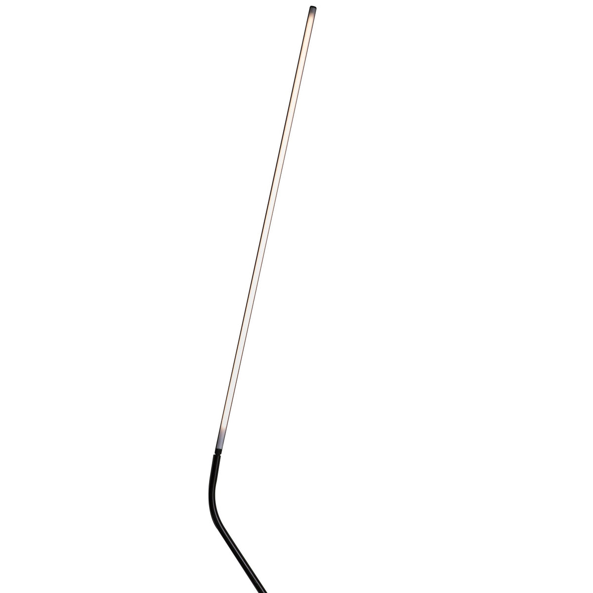 Neo LED Floor Lamp in Detail.