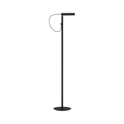 Type LED Floor Lamp.