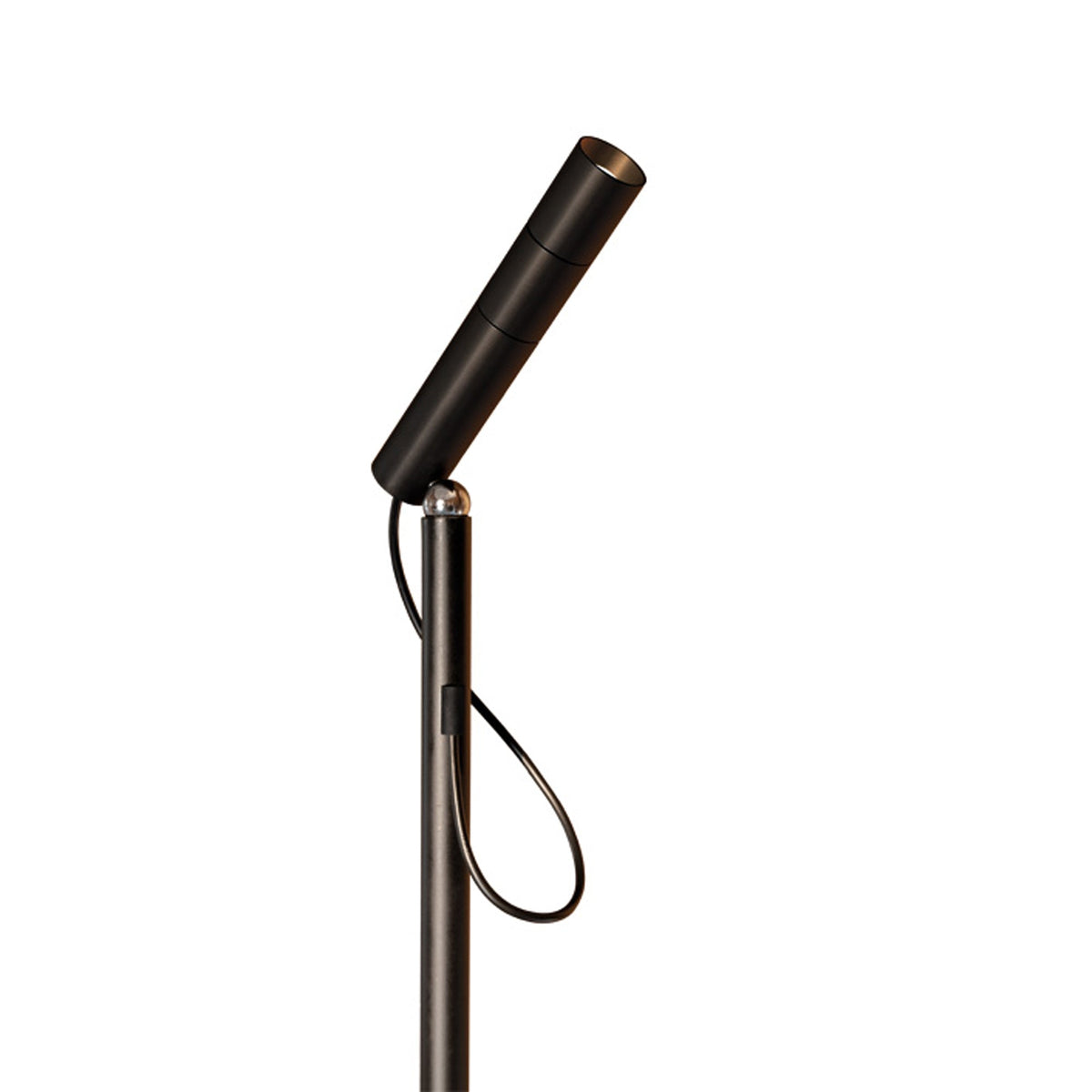 Type LED Floor Lamp in Detail.