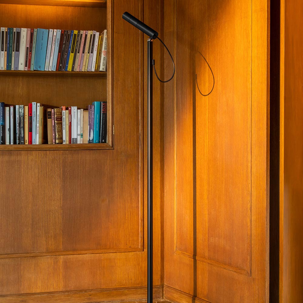 Type LED Floor Lamp in living room.
