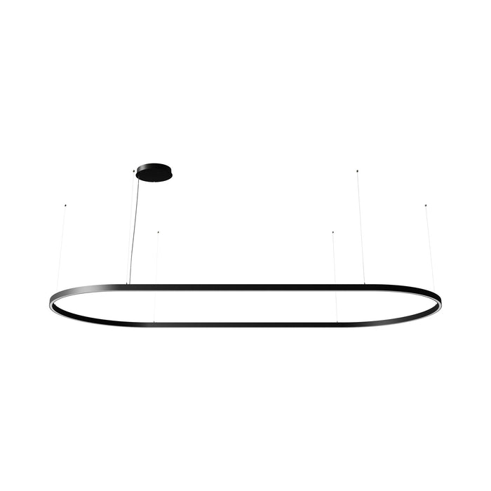 Zirkol LED Oval Pendant Light in Black (98.4-Inch).