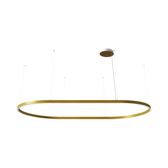Zirkol LED Oval Pendant Light in Gold (98.4-Inch).