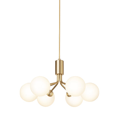 Apiales Chandelier in Brushed Brass/Opal White (6-Light).
