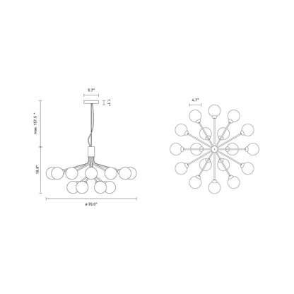 Apiales Chandelier - line drawing.