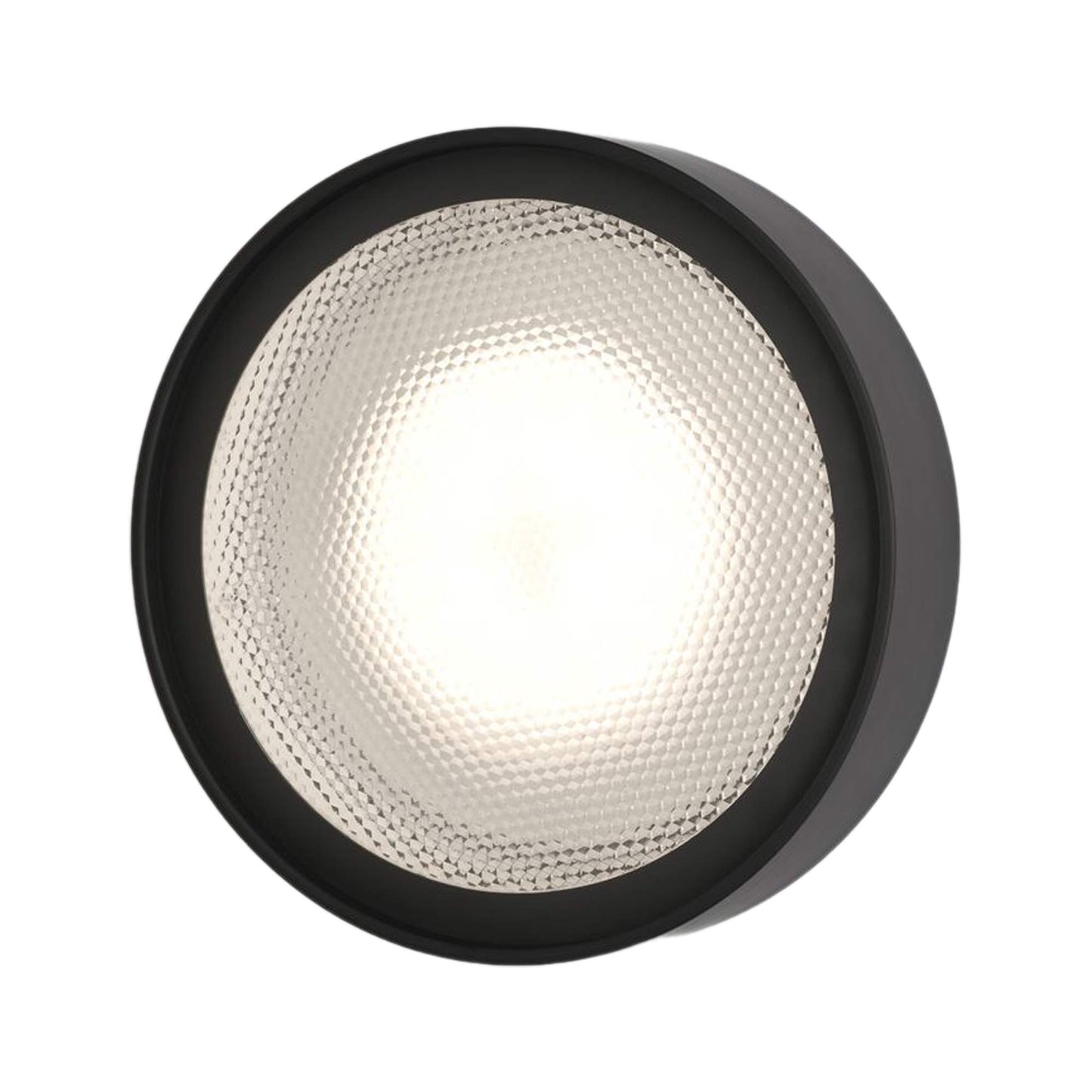 Berlin Outdoor Wall Light in Matt Black (13.8-Inch).