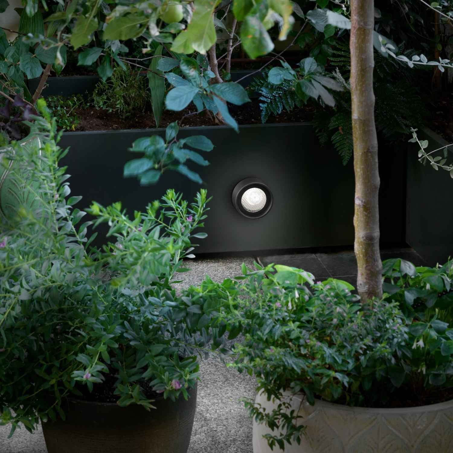 Berlin Outdoor Wall Light in Outside Area.