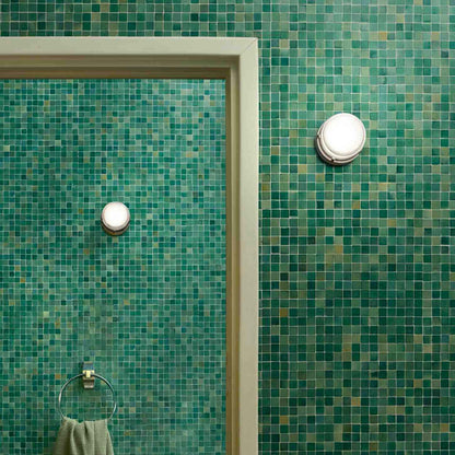 Fresnel Outdoor Wall Light in bathroom.