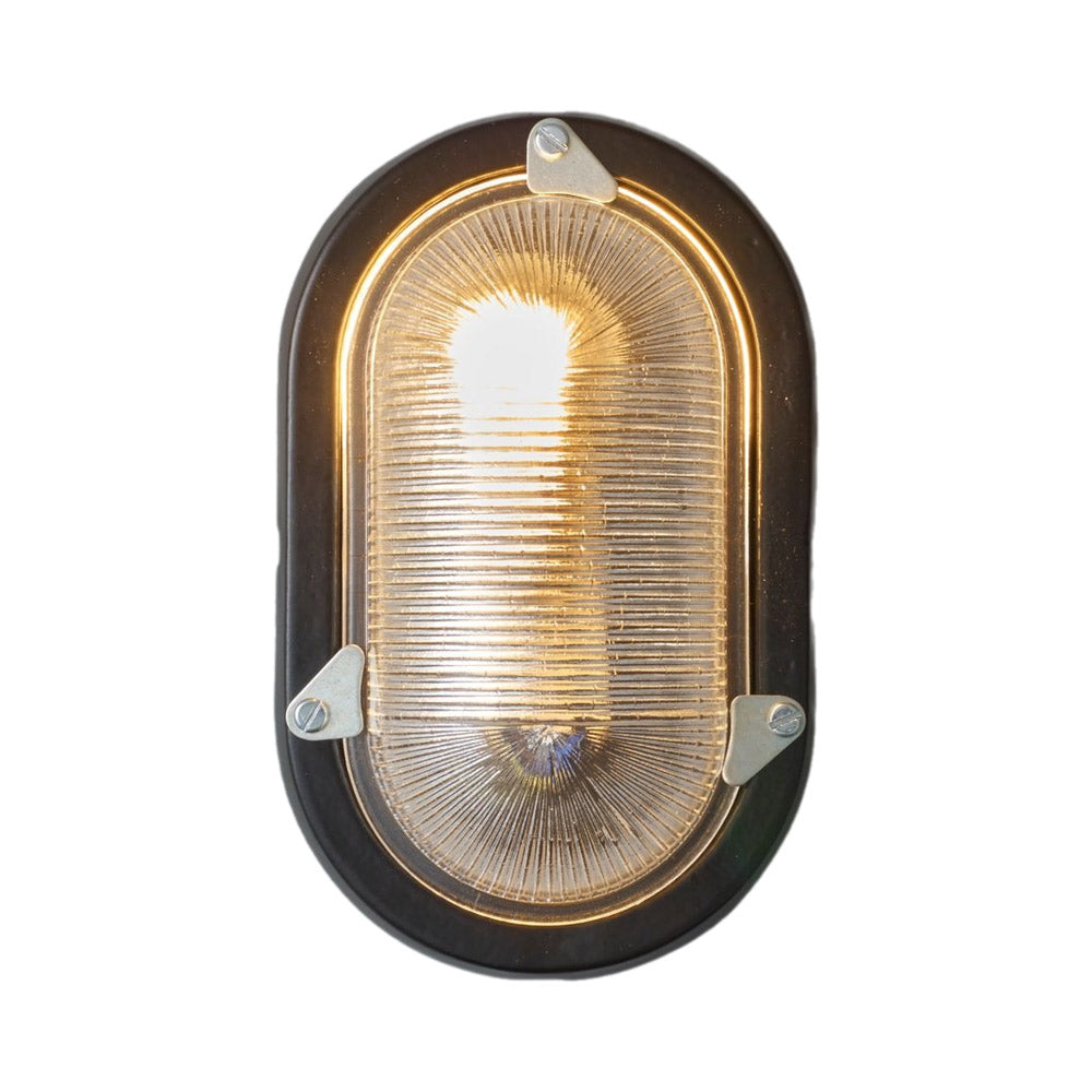 Oval Aluminium Indoor/Outdoor Wall Light in Black (Without Guard).