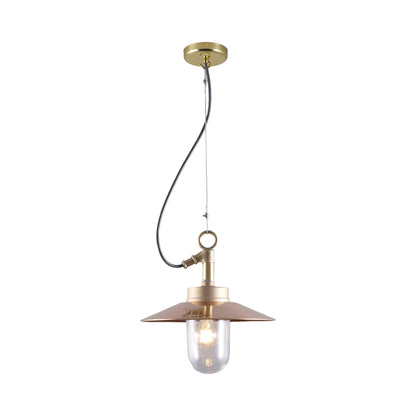 Well Pendant Light in Bronze (Clear Glass/Reflector).