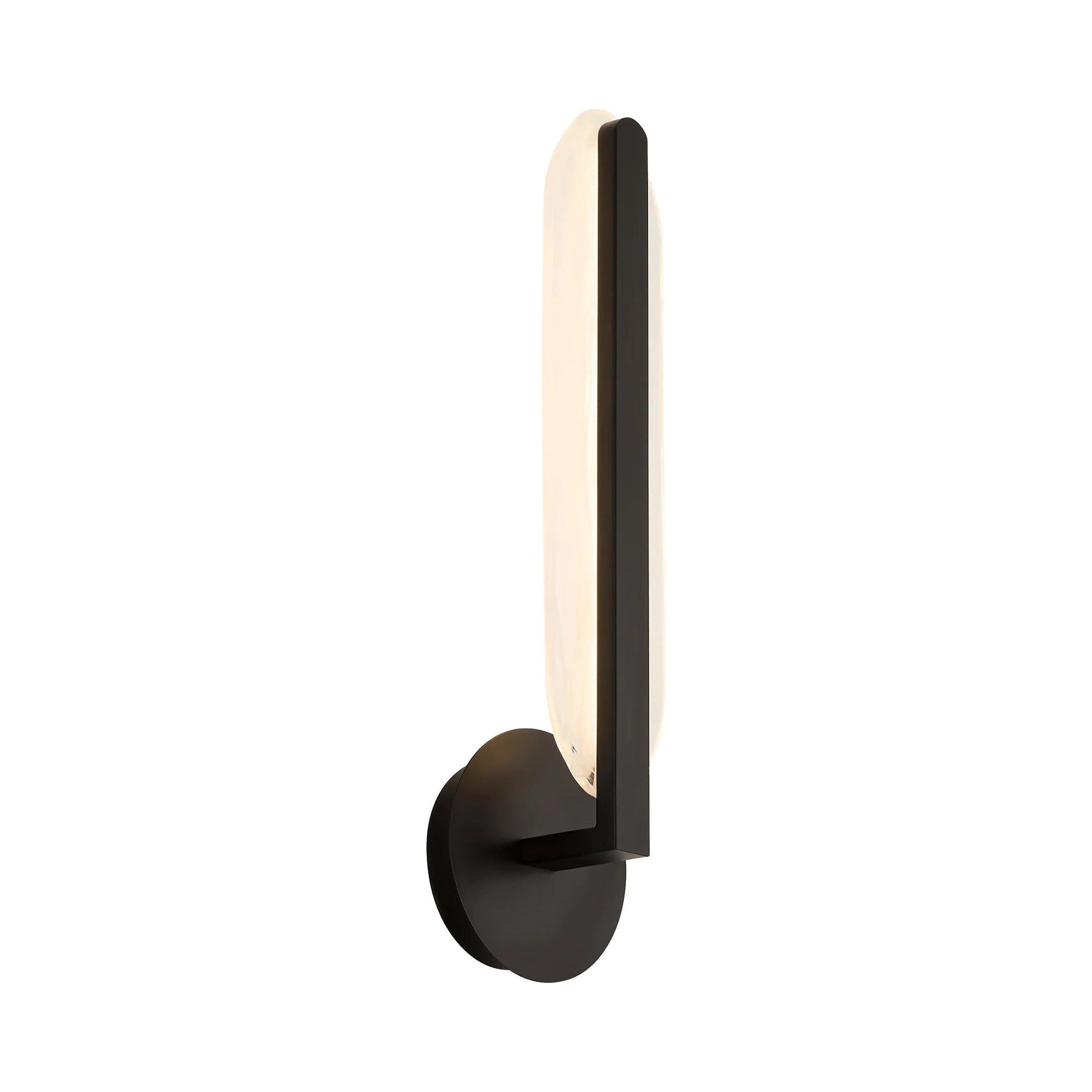 Avian LED Wall Light.