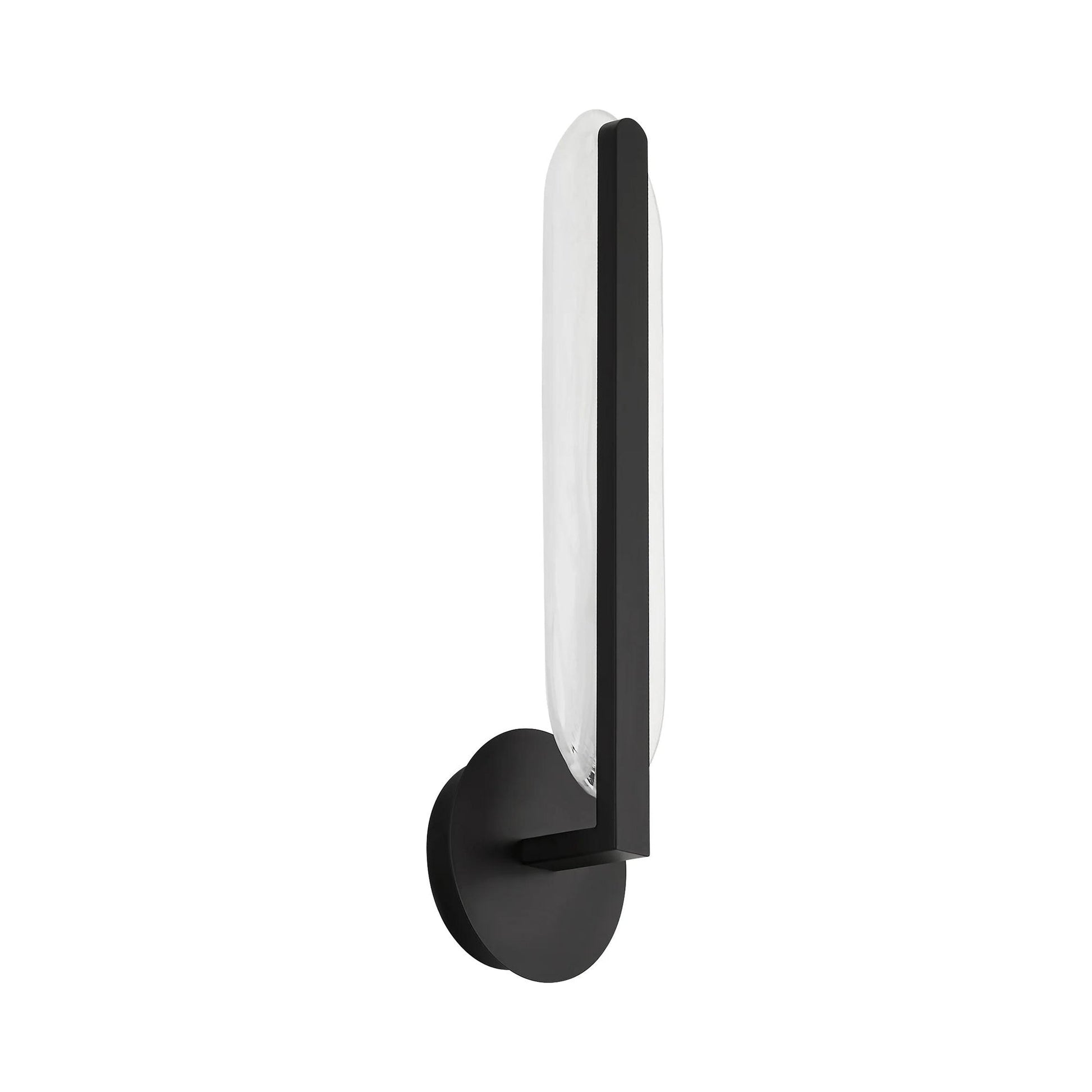 Avian LED Wall Light in Black.