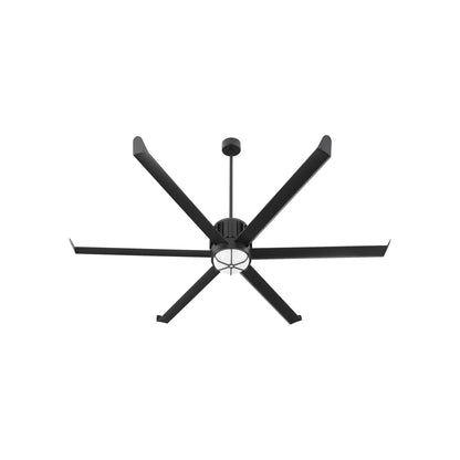 Enorme Ceiling Fan.