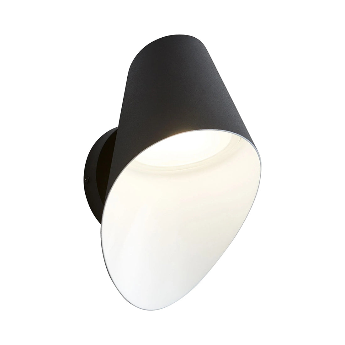 Lottie Outdoor LED Wall Light in Detail.