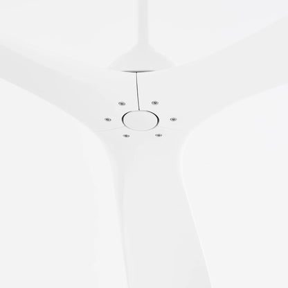 Mecca Ceiling Fan in Detail.