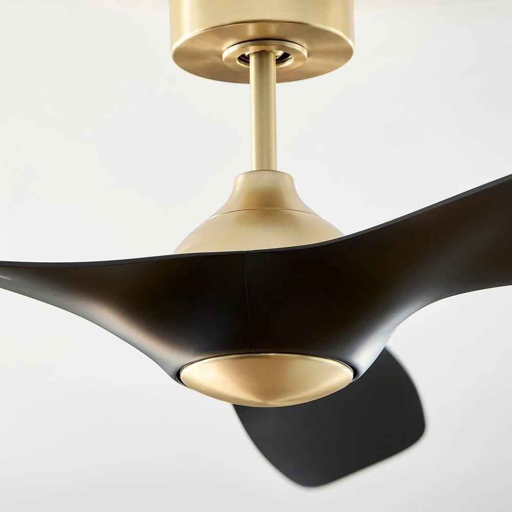 Province Ceiling Fan in Detail.
