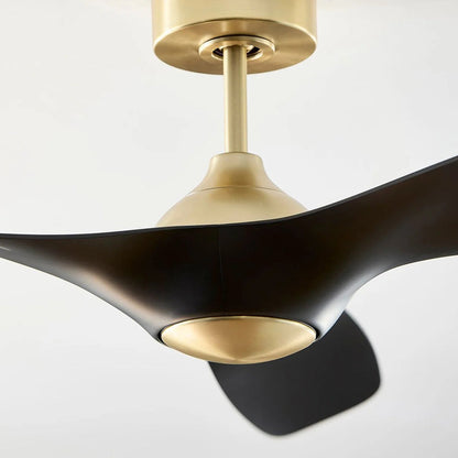 Province Ceiling Fan in Detail.