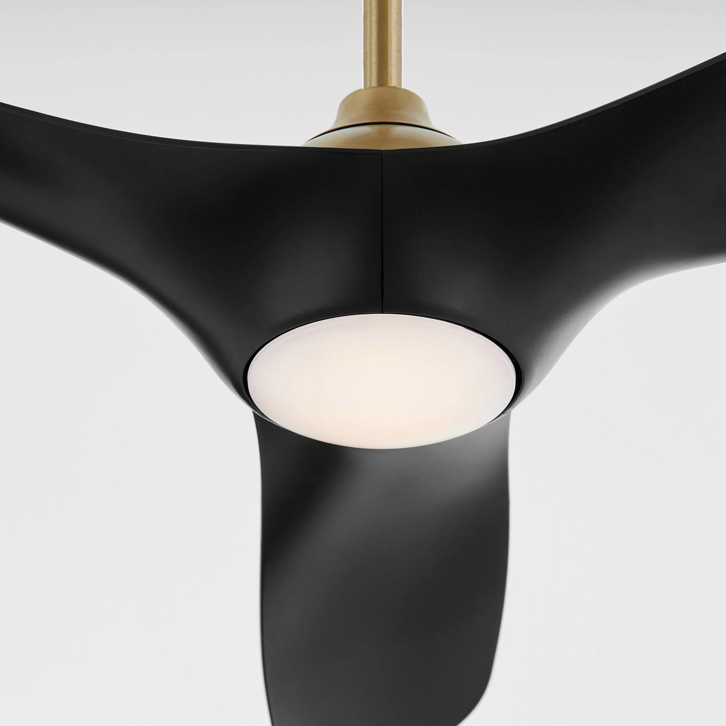 Province Ceiling Fan in Detail.