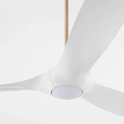 Province Ceiling Fan in Detail.