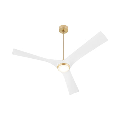 Ridley Ceiling Fan in Detail.