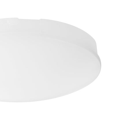 Ridley LED Fan Light Kit in Detail.