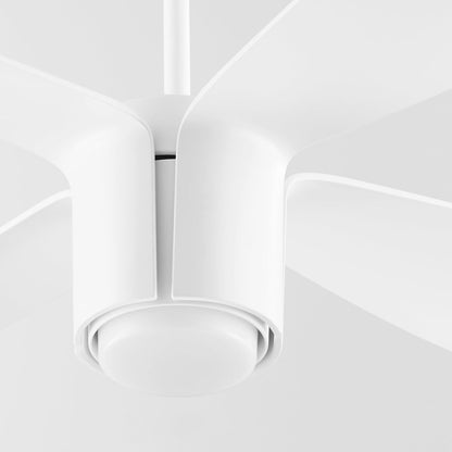 Samaran Ceiling Fan in Detail.
