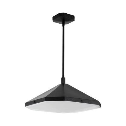 Tempe LED Pendant Light in Black.