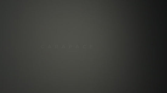 Carapace Ceiling/Wall Light - Video.
