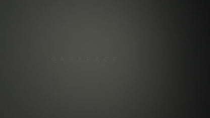Carapace Ceiling/Wall Light - Video.