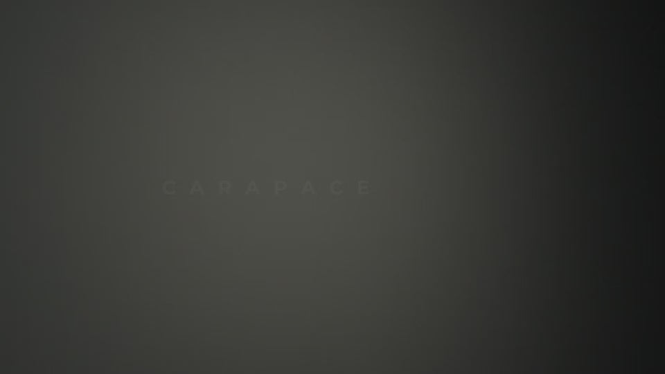 Carapace Ceiling/Wall Light - Video.
