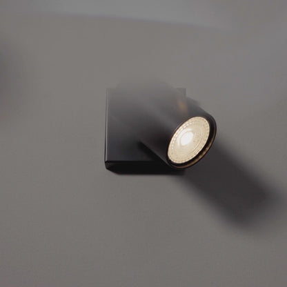 Ascoli Wall / Ceiling Spot Light - Video.