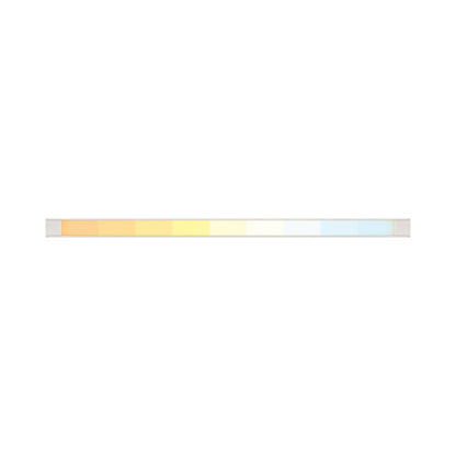 Light Channel LED Lazer Strip Surface Ceiling Mount Light (12-Inch).