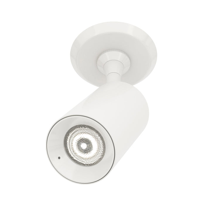 Piston LED Monopoint Head in White (15-Degree/2" Round).