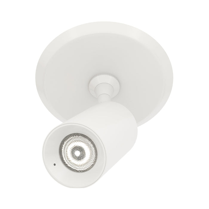 Piston LED Monopoint Head in White (15-Degree/4" Round).