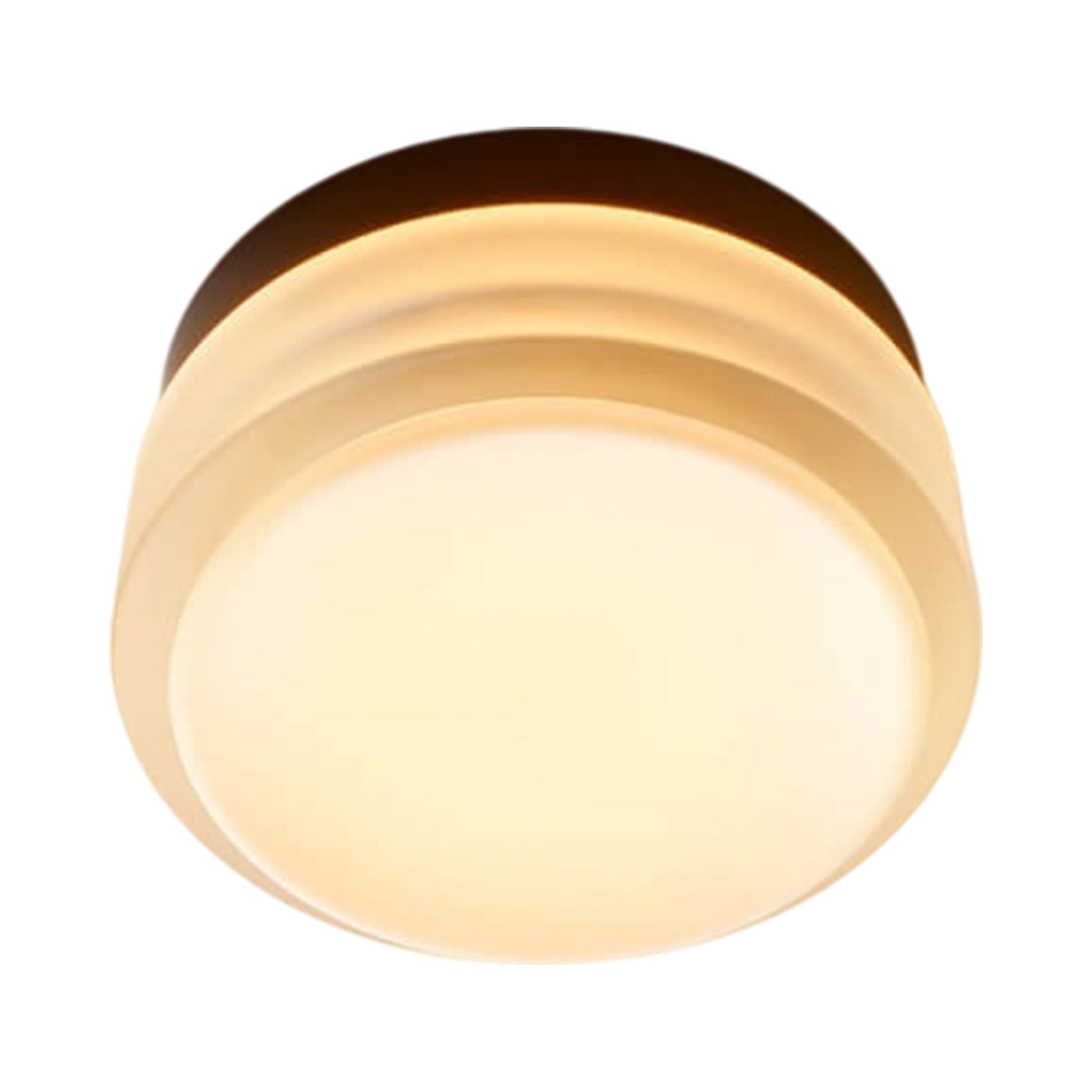 Copia LED Flush Mount Ceiling Light in Frosted/Black Anodized.