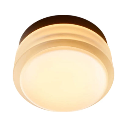 Copia LED Flush Mount Ceiling Light in Frosted/Black Anodized.