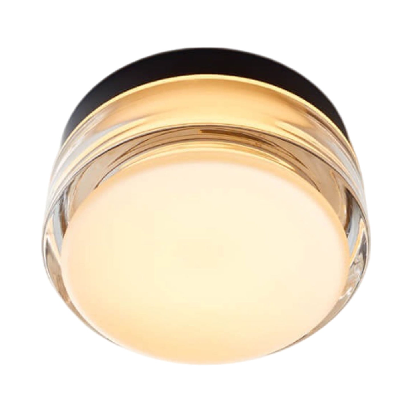 Copia LED Flush Mount Ceiling Light in Simply Clear/Black Anodized.