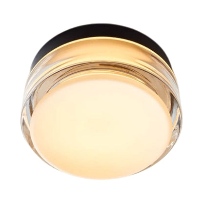 Copia LED Flush Mount Ceiling Light in Simply Clear/Black Anodized.