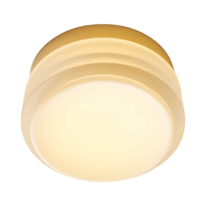 Copia LED Flush Mount Ceiling Light in Frosted/Natural Anodized.