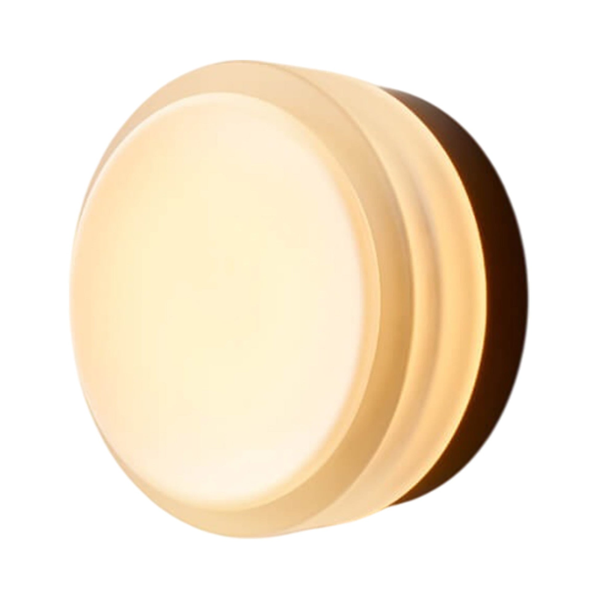 Copia LED Wall Light in Frosted/Black Anodized.