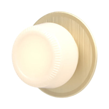 Pastille Disc LED Wall Light in Satin Brass (Ribbed).
