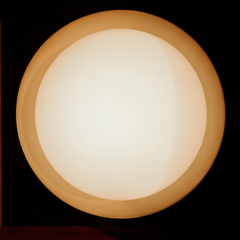 Bond Ceiling / Wall Light in Detail.