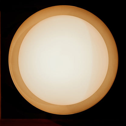 Bond Ceiling / Wall Light in Detail.