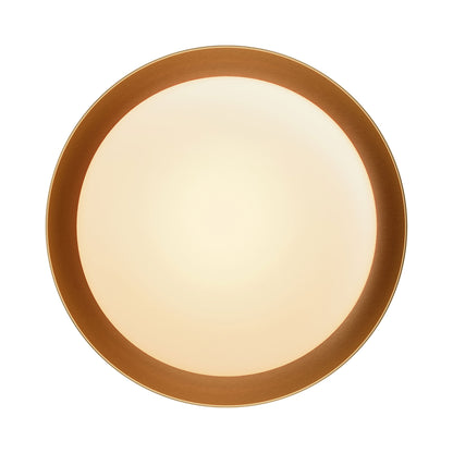 Bond Ceiling / Wall Light in Detail.