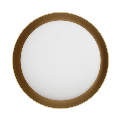 Bond Ceiling / Wall Light in Detail.
