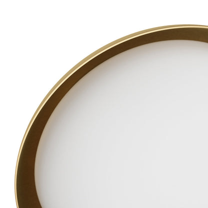 Bond Ceiling / Wall Light in Detail.