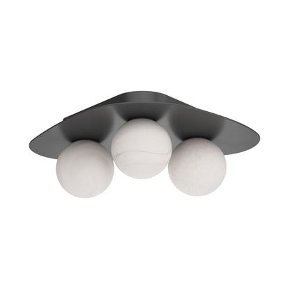 Rhoads Ceiling / Wall Light.