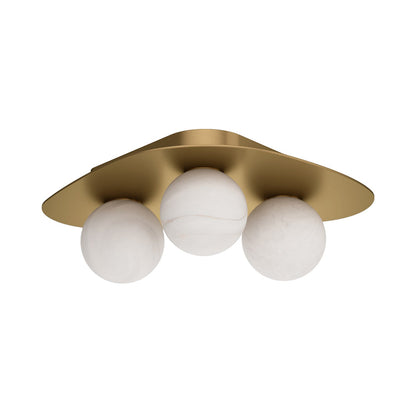 Rhoads Ceiling / Wall Light in Detail.